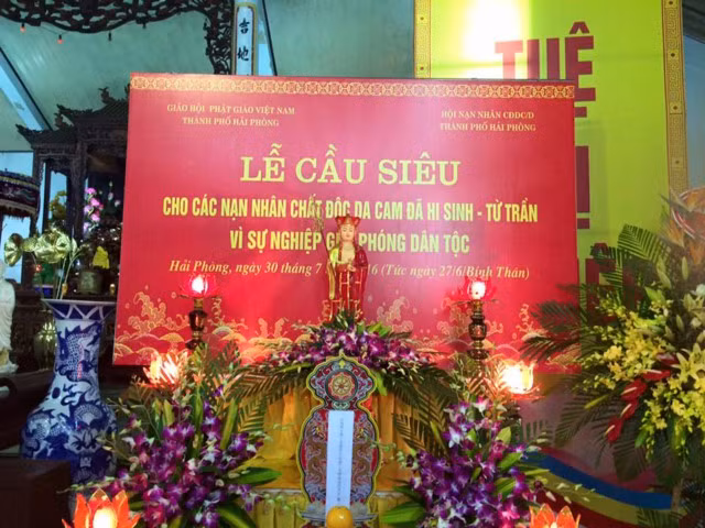 Réquiem en homenaje a víctimas de agente naranja en Hai Phong ảnh 1