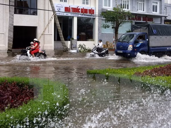 Tifón Nida entrará en el Mar del Este ảnh 1