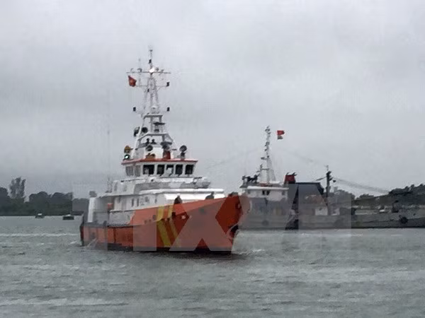 Rescatan a 12 pescadores en mar de provincia sudvietnamita ảnh 1