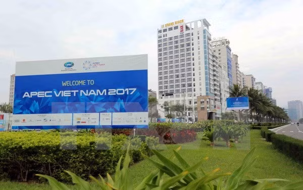 Afianza Vietnam su papel activo y responsable en APEC ảnh 1