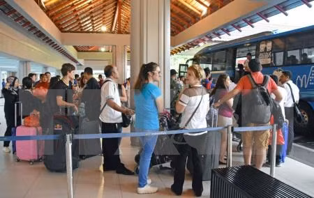 Miles de turistas abandonan Bali tras reapertura del aeropuerto ảnh 1