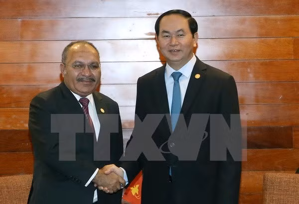 Vietnam respaldará celebración del APEC 2018 en Papúa Nueva Guinea ảnh 1