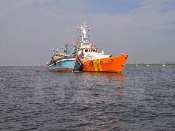 Rescatan a marineros vietnamitas accidentados en el mar ảnh 1