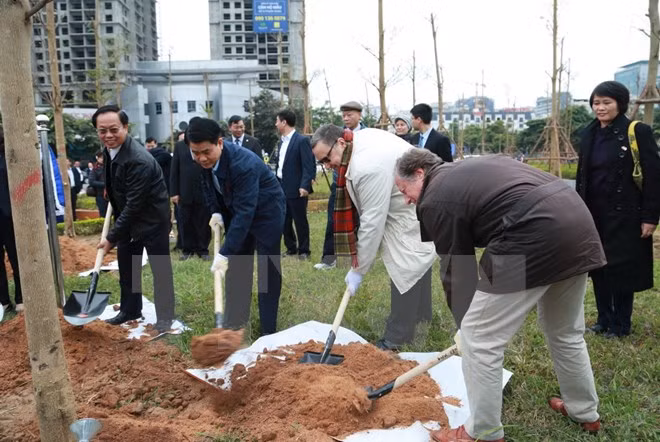 Hanoi planta 100 árboles para conmemorar centenario del Día de la independencia de Finlandia ảnh 1