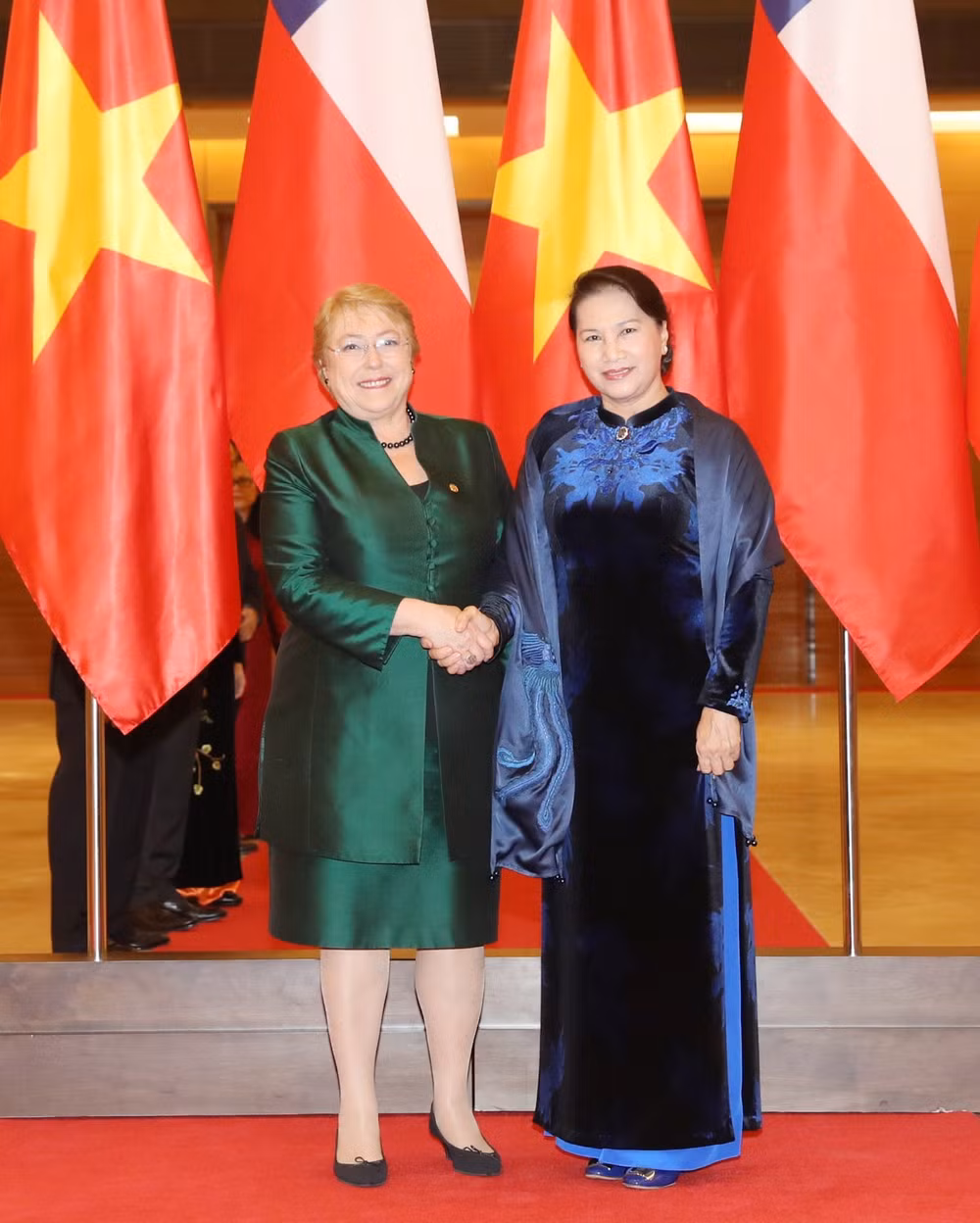 Vietnam aspira a fortalecer nexos interparlamentarios con Chile ảnh 1