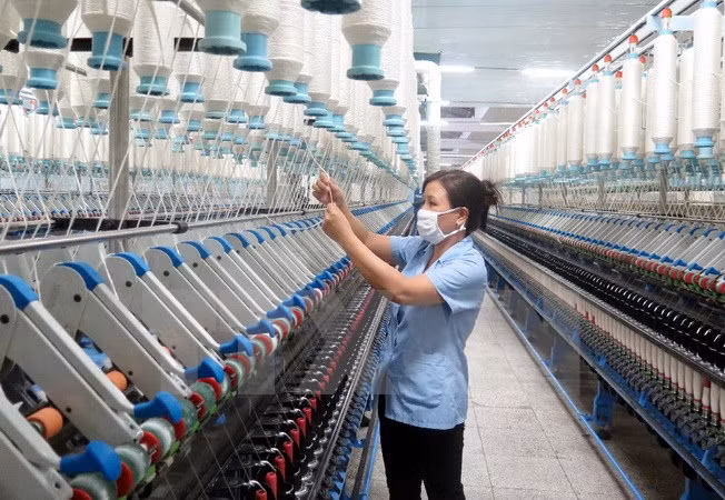 Sector de confecciones textiles de Vietnam por superar barreras para conquistar nuevos mercados ảnh 1