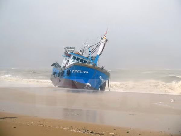 Tifón Damrey deja 27 muertos y 22 desaparecidos en Vietnam ảnh 1