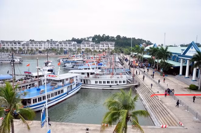 Vietnam recibe a más de 11 millones de turistas extranjeros en 11 meses ảnh 1