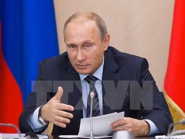 Economías de APEC necesitan fomentar cooperación para desarrollo armonizado, afirma presidente ruso ảnh 1