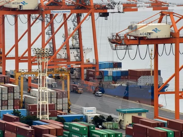 Modelo de zona económica especial impulsará desarrollo económico de Vietnam ảnh 1