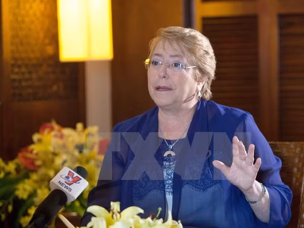 Bachelet: Unidos en su visión de APEC, Chile y Vietnam buscan fortalecer sus nexos bilaterales ảnh 1