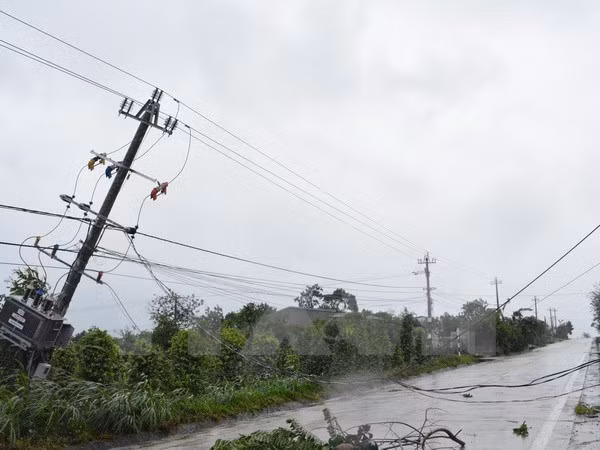 Vietnam registra grandes pérdidas por el tifón Damrey ảnh 1