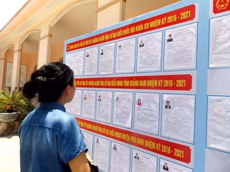Celebra Quang Nam sufragio anticipado para garantizar derechos civiles ảnh 1