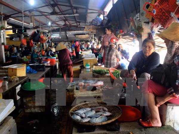 Asistencia urgente en Vietnam a pobladores afectados por muerte masiva de peces ảnh 1