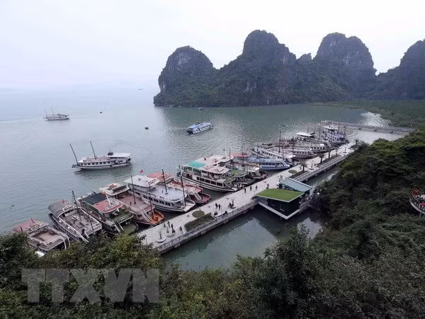 Aclara Vietnam información sobre prohibición a crucero con turistas extranjeros ảnh 1