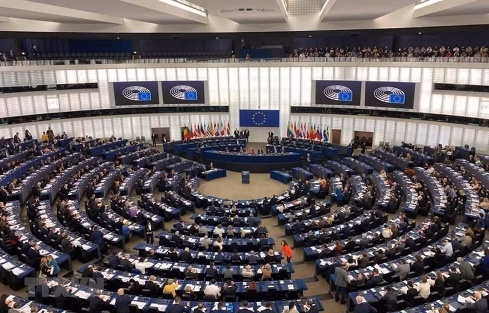 Vietnam es una de las economías más abiertas en ASEAN, afirma eurodiputado belga ảnh 1