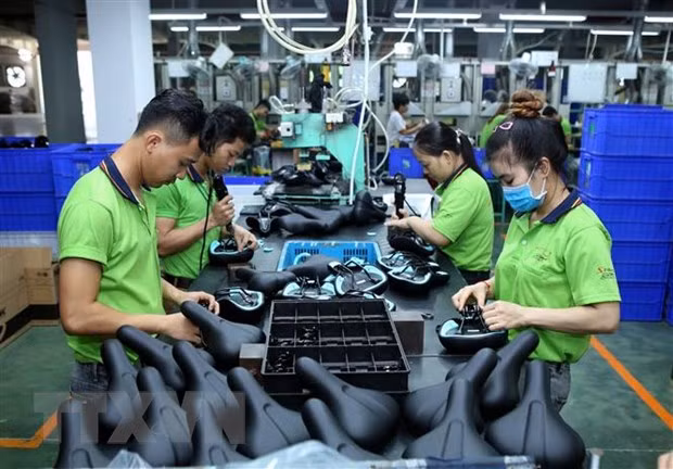 EVFTA ayudará a fomentar las relaciones entre Polonia y Vietnam ảnh 1