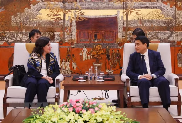 Hanoi reitera apoyo a actividades por el aniversario 60 de los lazos Vietnam-Cuba ảnh 1