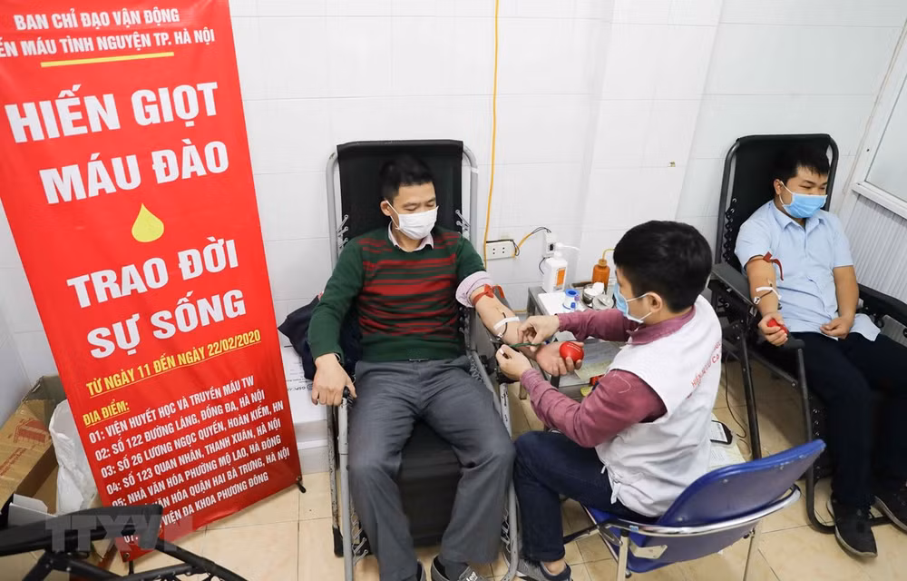 Logra Vietnam impresionante donación de sangre en cita humanitaria anual ảnh 1