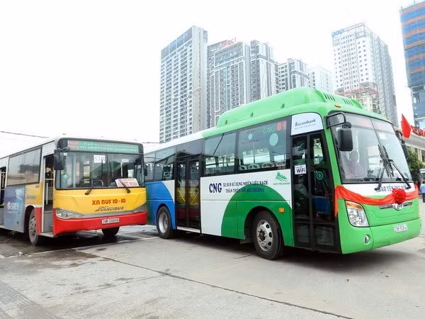 Hanoi por ofrecer servicios gratuitos de ómnibus para personas discapacitadas ảnh 1