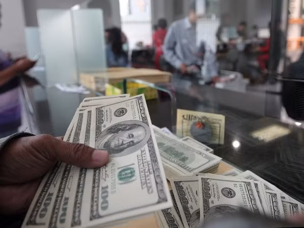 Reserva de divisas de Indonesia se acerca al récord ảnh 1