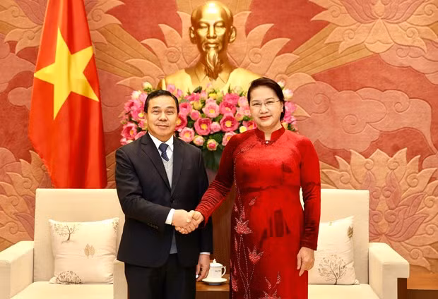  Vietnam y Laos intensifican cooperación legislativa ảnh 1