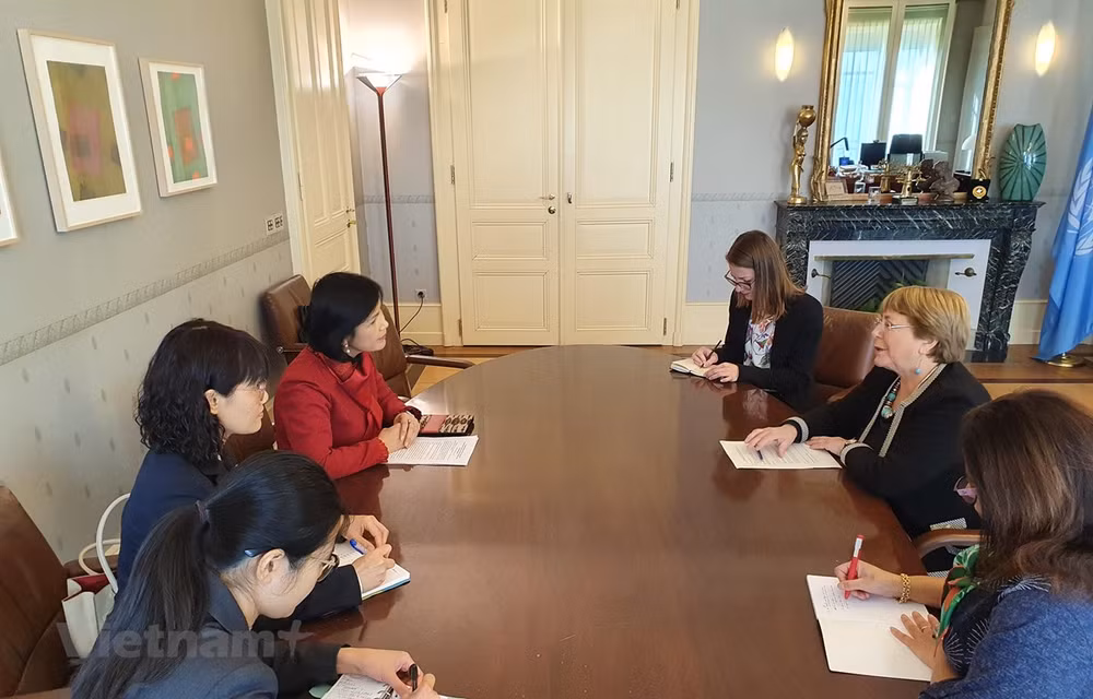 Realza ONU logros de Vietnam en materia de derechos humanos ảnh 1