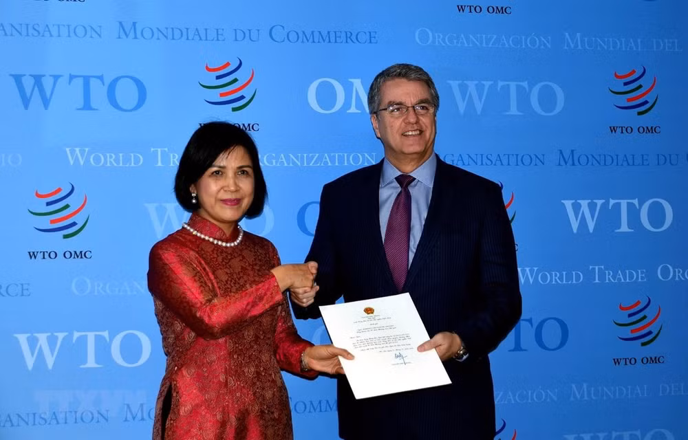 Ratifica Vietnam su estrecha cooperación con la OMC ảnh 1