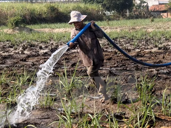 Vietnam por garantizar uso eficiente de recursos hídricos ảnh 1