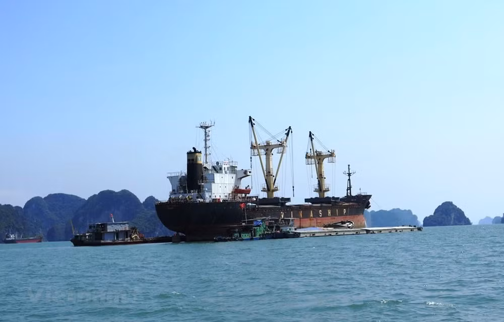 Proponen en Vietnam mecanismo especial para el transporte costero ảnh 1