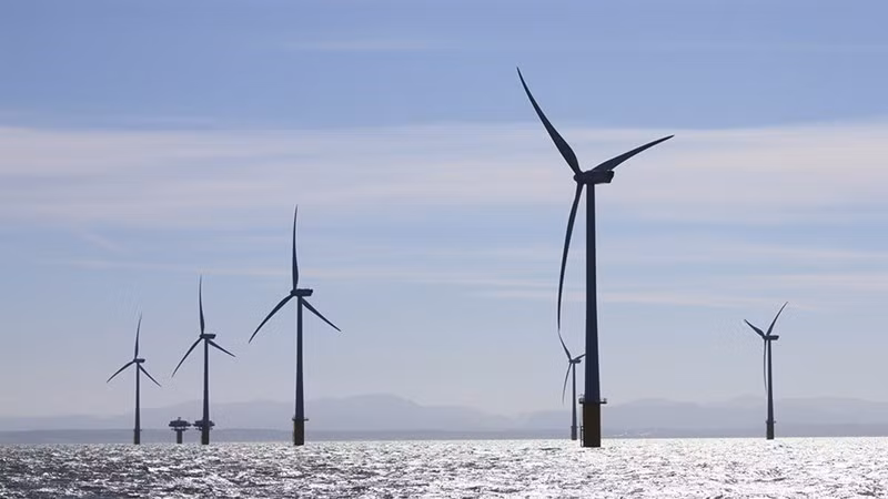 Empresa vietnamita tiene prioridad para firmar contrato de energía eólica en Taiwán ảnh 1
