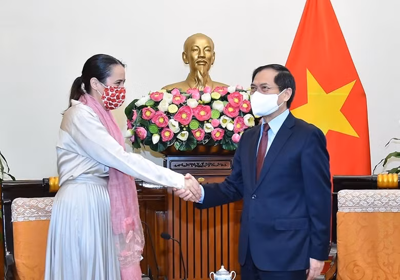 Profundizan asociación estratégica entre Vietnam y Nueva Zelanda ảnh 1