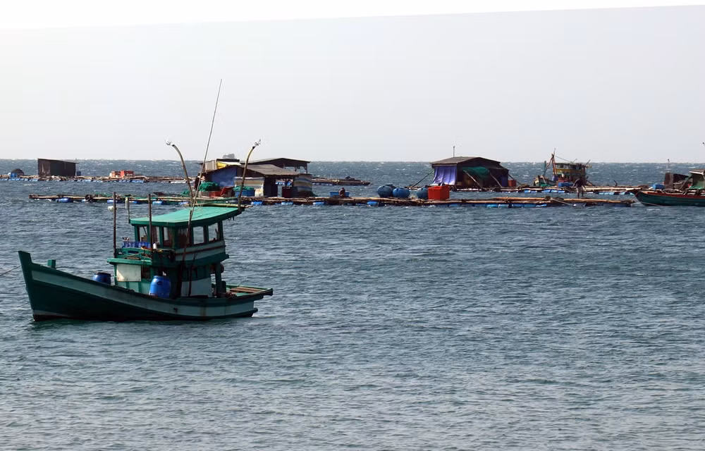 Vietnam apunta a establecer un grupo de asociación para la economía azul ảnh 1