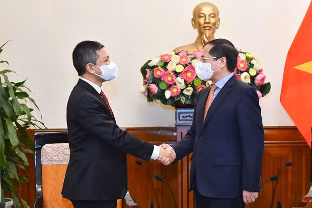 Recibe canciller vietnamita al nuevo embajador de Indonesia ảnh 1