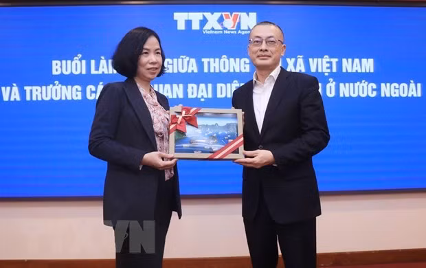 Buscan mejorar cooperación entre VNA y misiones representativas de Vietnam en extranjero ảnh 2