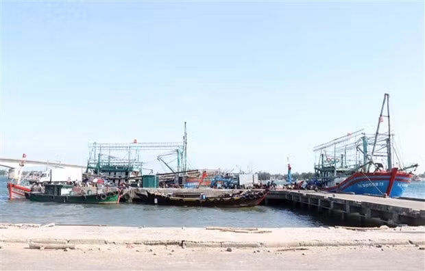 Comisión Europea aprecia los esfuerzos de Vietnam contra pesca ilegal ảnh 1