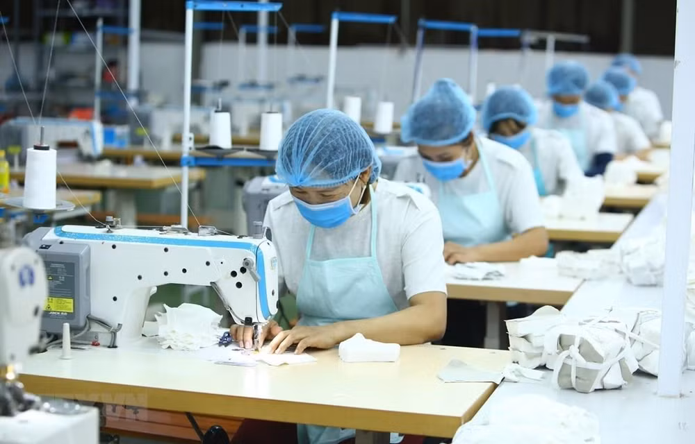 Gobierno debe elaborar estrategia de respuesta a pandemia y recuperación económica ảnh 1