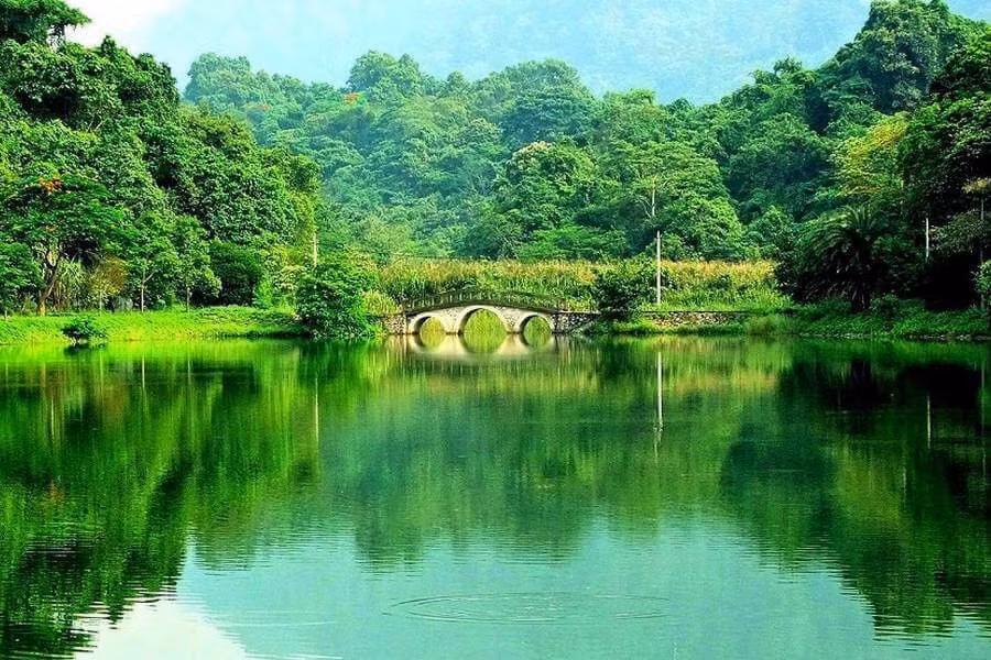 Vietnam elegido destino turístico de primera categoría de Asia ảnh 3 Vietnam elegido destino turístico de primera categoría de Asia ảnh 3