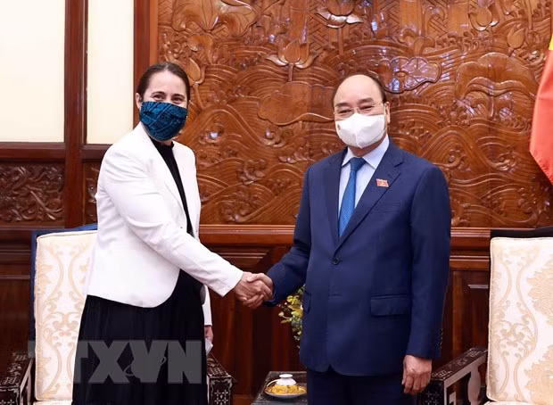 Presidente de Vietnam aboga por aumentar el intercambio comercial con Nueva Zelanda ảnh 1