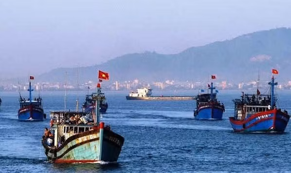 Vietnam redobla medidas contra la pesca ilegal ảnh 1