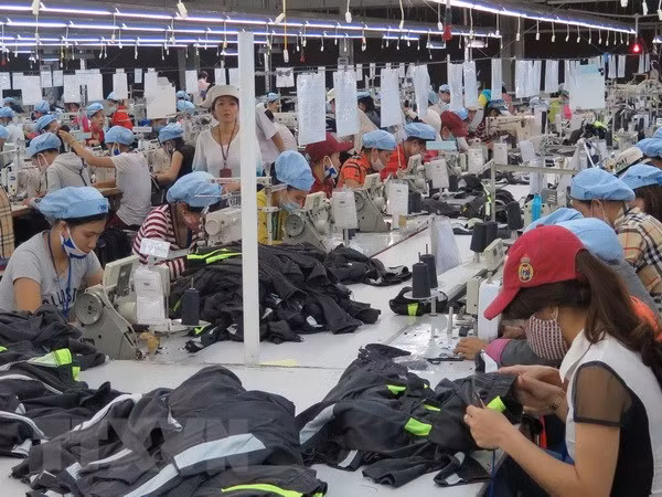 Industria de confecciones, segunda fuente de divisas para Vietnam ảnh 1