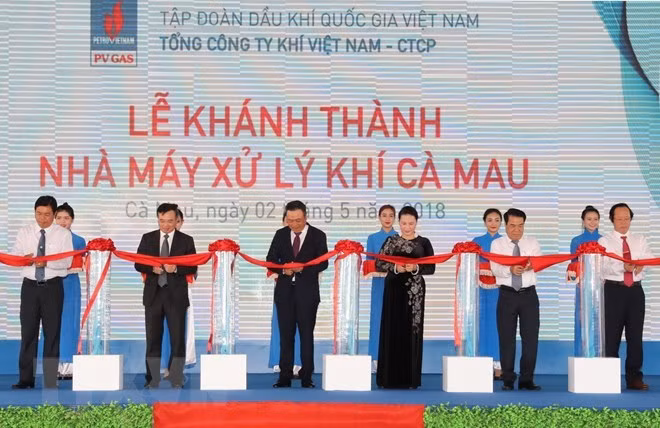 Presidenta parlamentaria de Vietnam asiste a la inauguración de planta procesadora de gas en Ca Mau ảnh 1