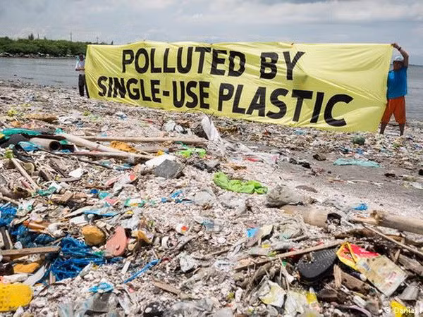 Organizaciones internacionales en Vietnam se unen en lucha contra contaminación por plástico ảnh 1