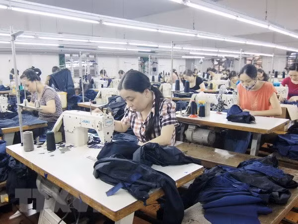 Promueven derechos y oportunidades de las trabajadoras en la ASEAN ảnh 1