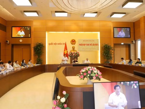 Consejo de Asuntos Étnicos del Parlamento vietnamita pasa balance a su trabajo ảnh 1