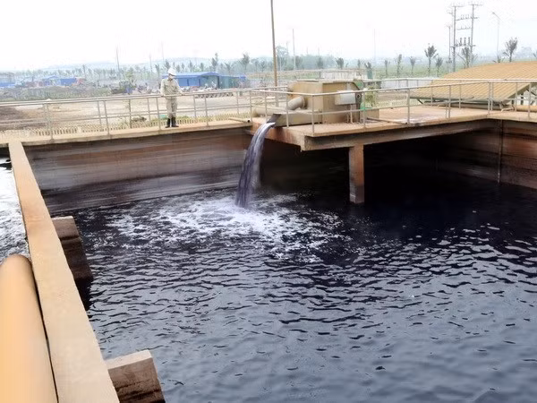 Japón asiste al Delta del río Mekong de Vietnam en la adaptación al cambio climático ảnh 1