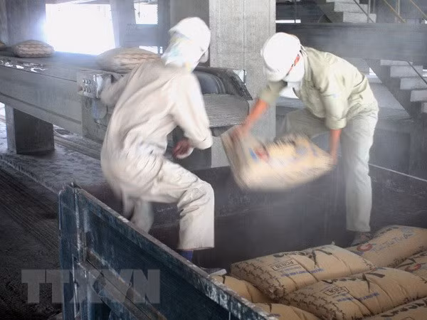 Buenas señales para la exportación de materiales de construcción de Vietnam ảnh 1