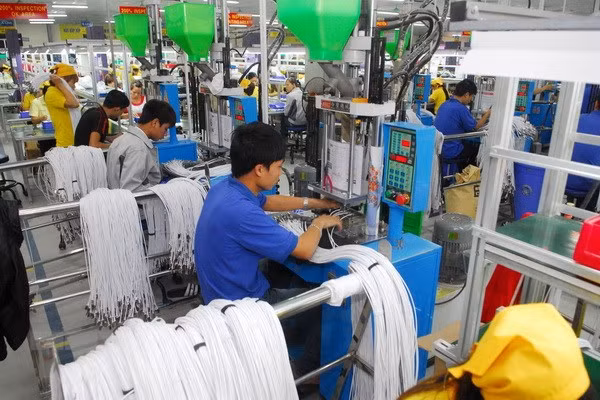 IED cambia el desarrollo socioeconómico de Vietnam en los últimos 30 años ảnh 1