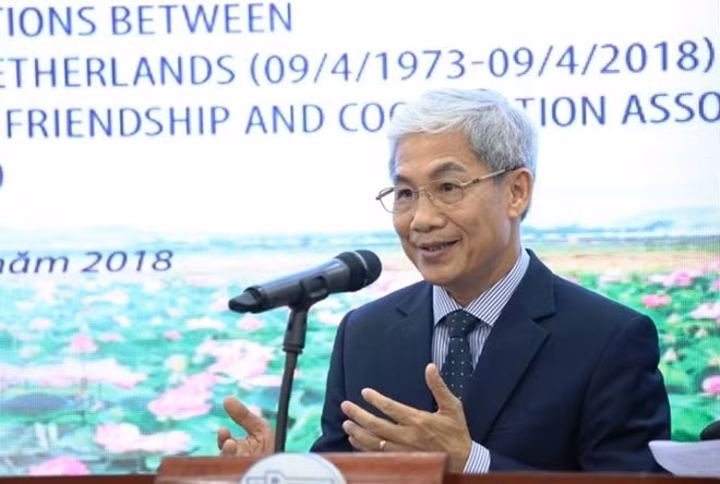 Experimentan buenas relaciones multifacéticas Vietnam y Países Bajos ảnh 1