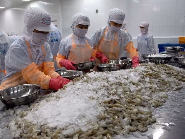 Bajan exportaciones de mariscos de Vietnam al mercado europeo ảnh 1